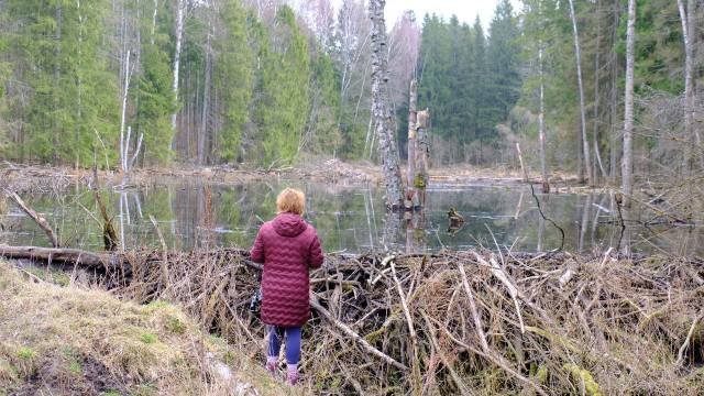 Пешие прогулки по Виштынецкой возвышенности с Юлией Бардун, фото 11
