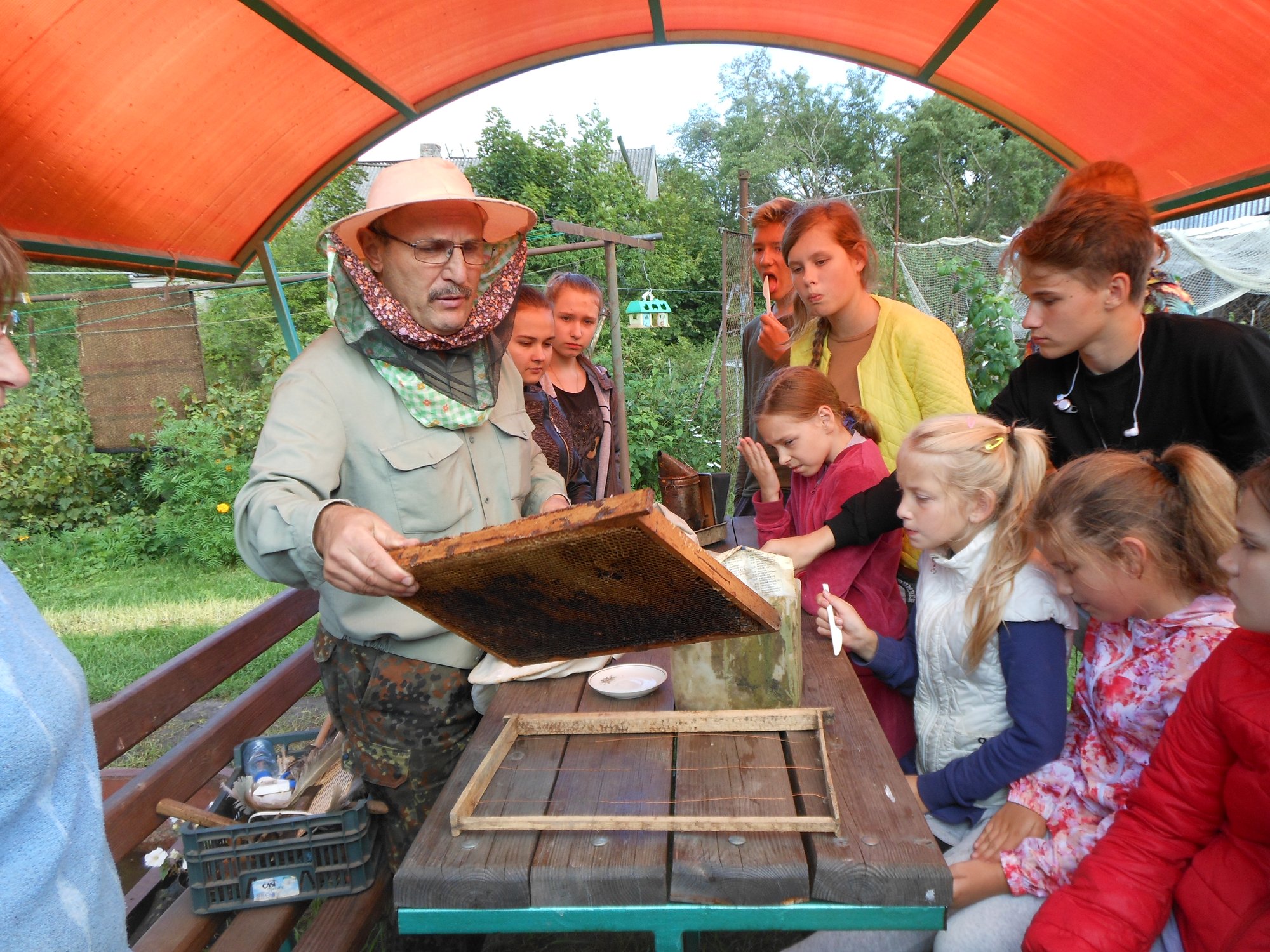 Посещение пасеки Татьяны и Николая Шумилло в пос. Краснолесье, фото 1